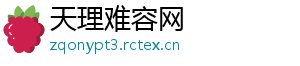 天理难容网